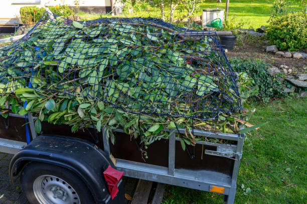 Junk Removal for Events in Dysart, IA